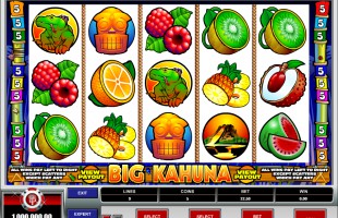 Big Kahuna free game